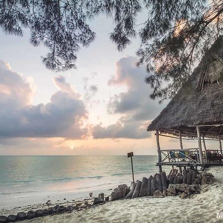 Ndame Beach Lodge Paje Eksteriør billede
