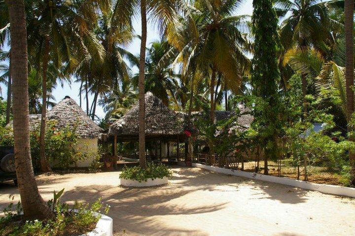 Ndame Beach Lodge Paje Eksteriør billede