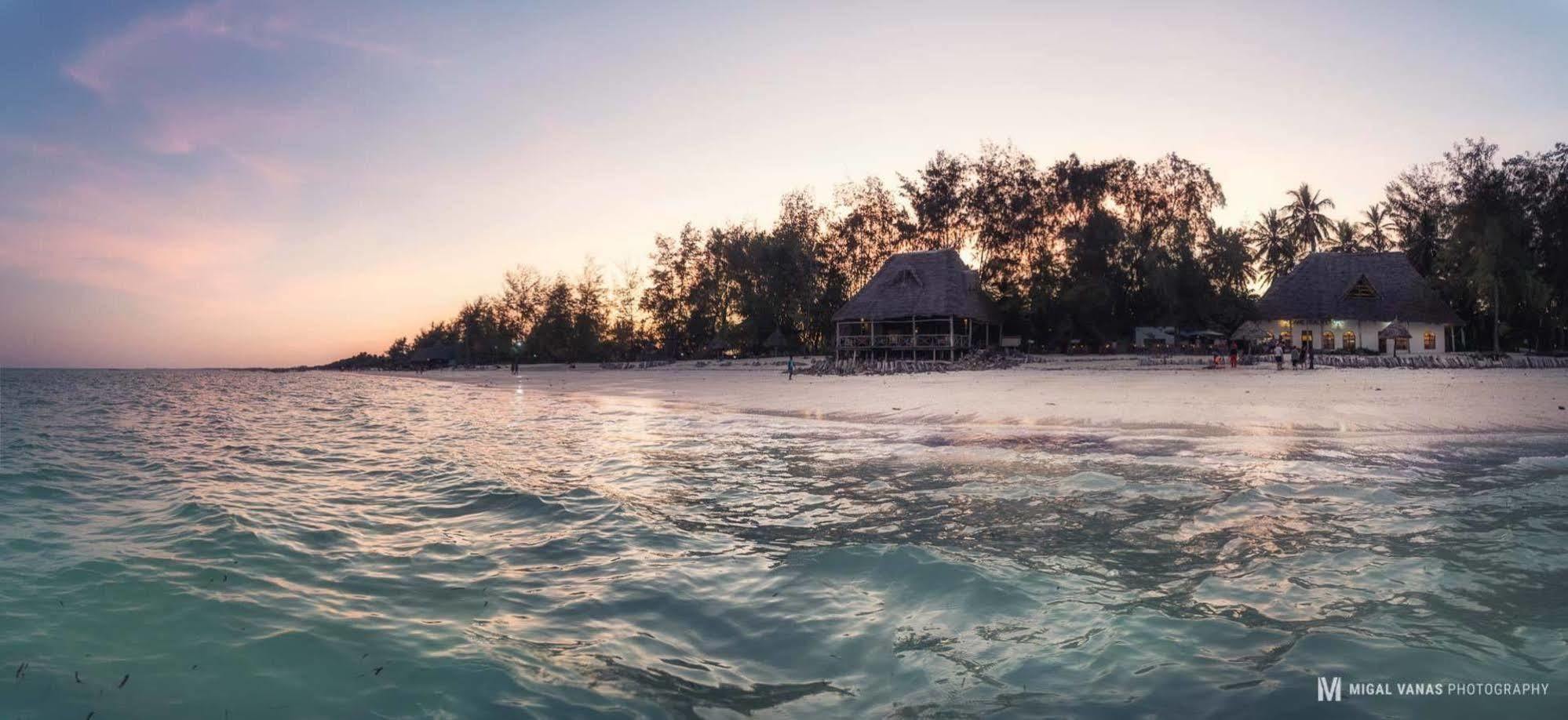 Ndame Beach Lodge Paje Eksteriør billede