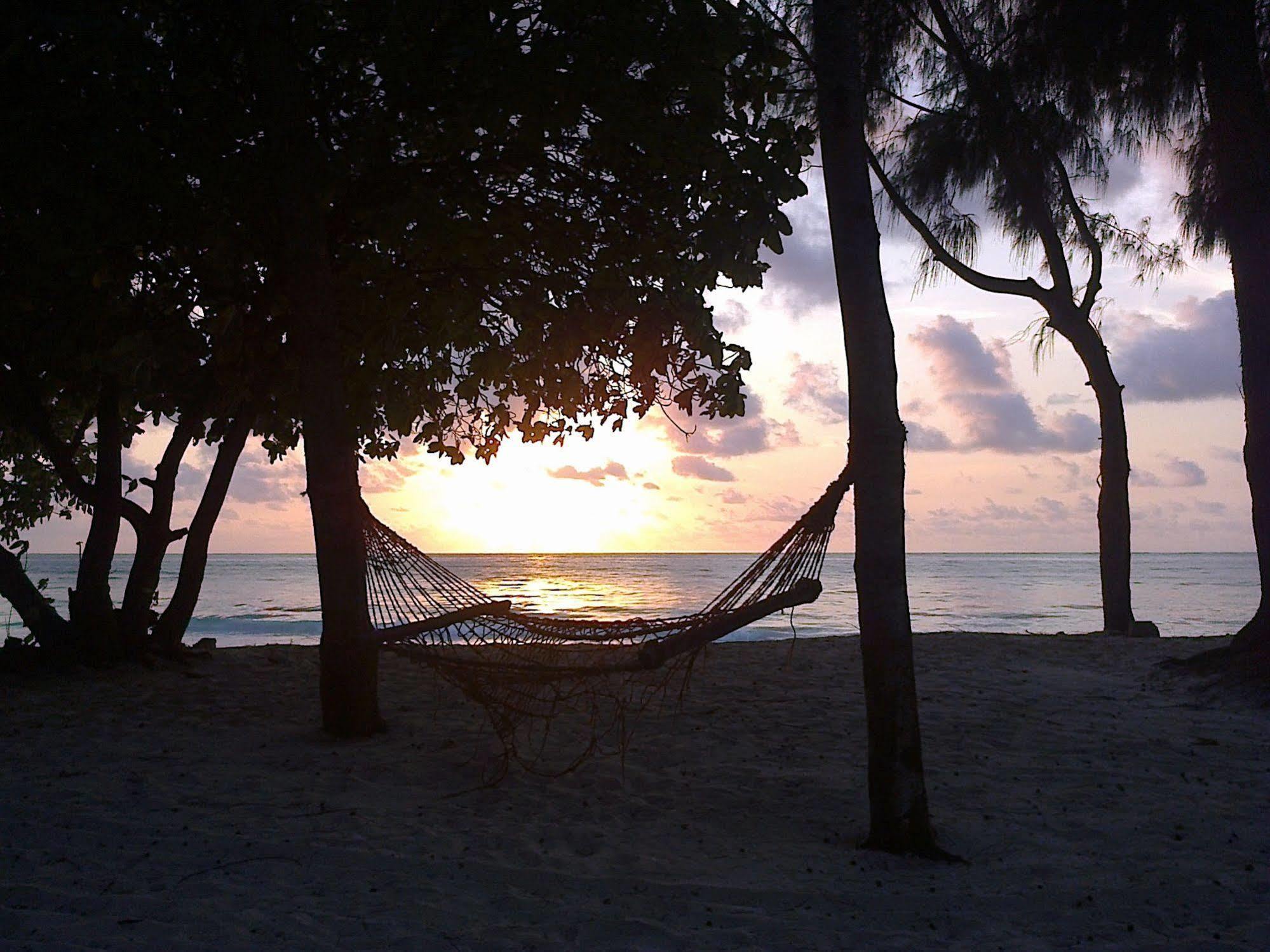 Ndame Beach Lodge Paje Eksteriør billede