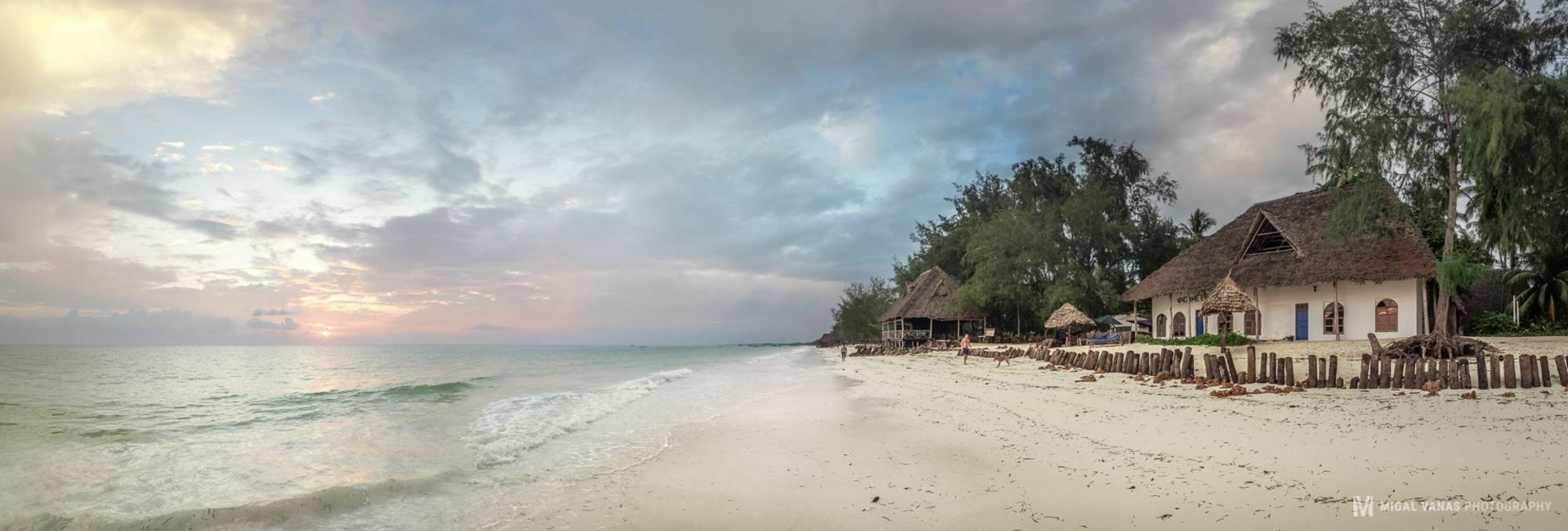 Ndame Beach Lodge Paje Eksteriør billede